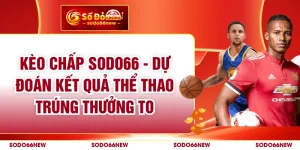 Kèo Chấp SODO66 - Dự Đoán Kết Quả Thể Thao Trúng Thưởng To