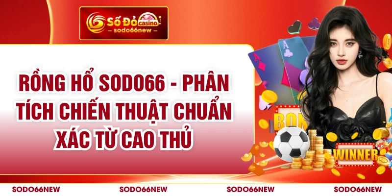 Rồng Hổ SODO66 - Phân Tích Chiến Thuật Chuẩn Xác Từ Cao Thủ