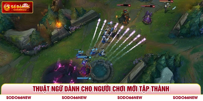 Thuật ngữ dành cho người chơi mới tập thành